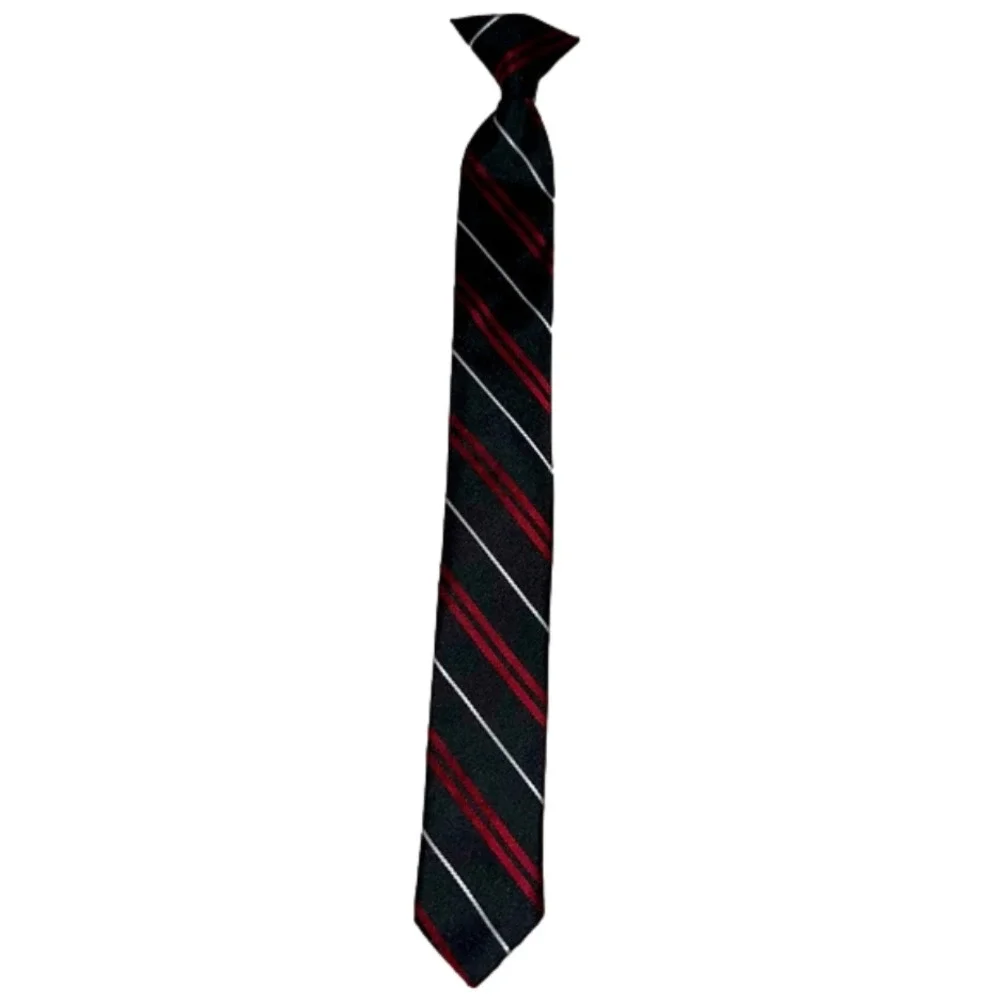 LITTLE Boy’s clip on tie. Quick and easy dress up for any occasion